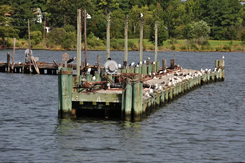 Tangier Island